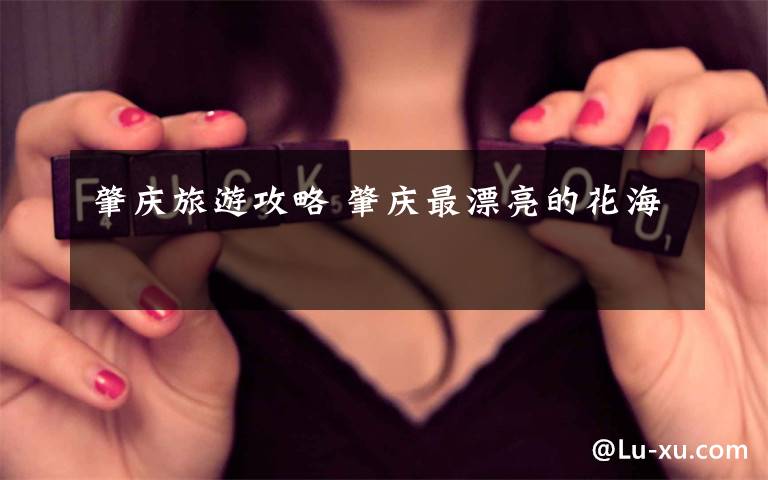 肇庆旅游攻略 肇庆最漂亮的花海