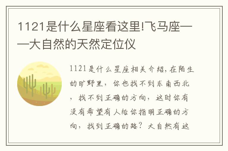 1121是什么星座看这里!飞马座——大自然的天然定位仪