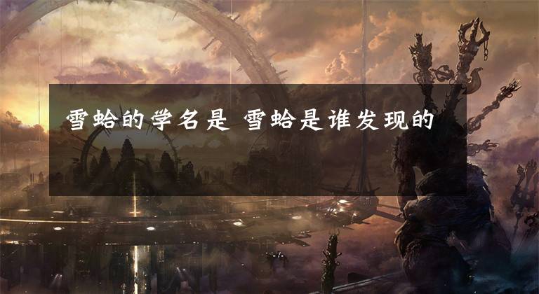 雪蛤的学名是 雪蛤是谁发现的文章配图