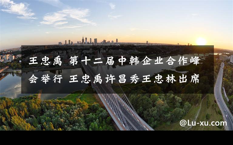 王忠禹 第十二届中韩企业合作峰会举行 王忠禹许昌秀王忠林出席文章配图
