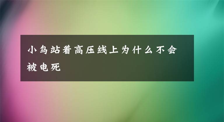 小鸟站着高压线上为什么不会被电死