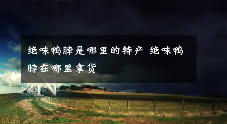 绝味鸭脖是哪里的特产 绝味鸭脖在哪里拿货文章配图