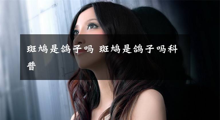 斑鸠是鸽子吗 斑鸠是鸽子吗科普文章配图