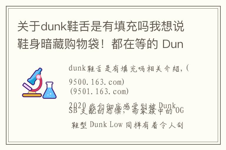 关于dunk鞋舌是有填充吗我想说鞋身暗藏购物袋！都在等的 Dunk 新品，发售信息有了