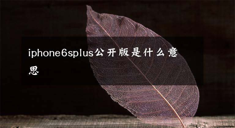 iphone6splus公开版是什么意思