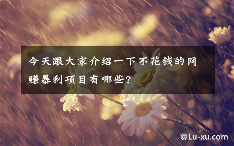 今天跟大家介绍一下不花钱的网赚暴利项目有哪些?