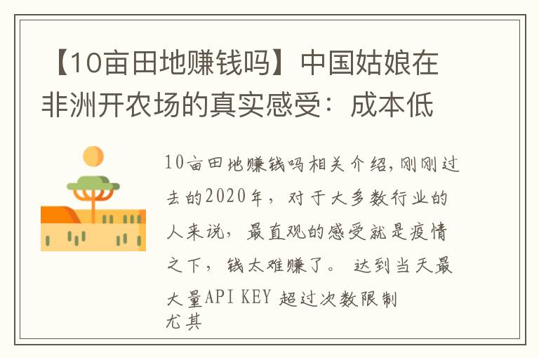 【10亩田地赚钱吗】中国姑娘在非洲开农场的真实感受：成本低、刚需、竞争小