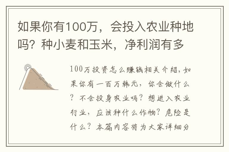 如果你有100万，会投入农业种地吗？种小麦和玉米，净利润有多少