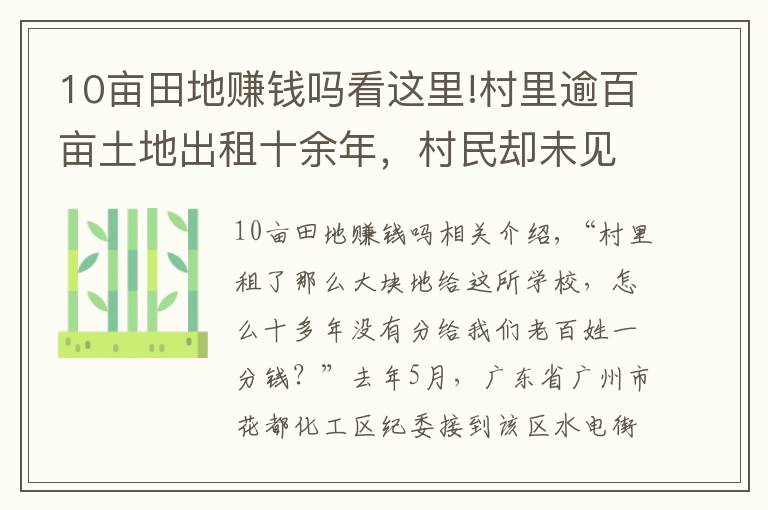 10亩田地赚钱吗看这里!村里逾百亩土地出租十余年，村民却未见丝毫租金，钱呢？