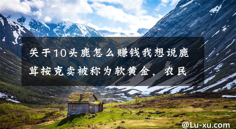 关于10头鹿怎么赚钱我想说鹿茸按克卖被称为软黄金，农民养殖20头梅花鹿，一年能挣多少钱