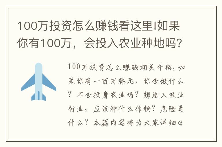 100万投资怎么赚钱看这里!如果你有100万，会投入农业种地吗？种小麦和玉米，净利润有多少