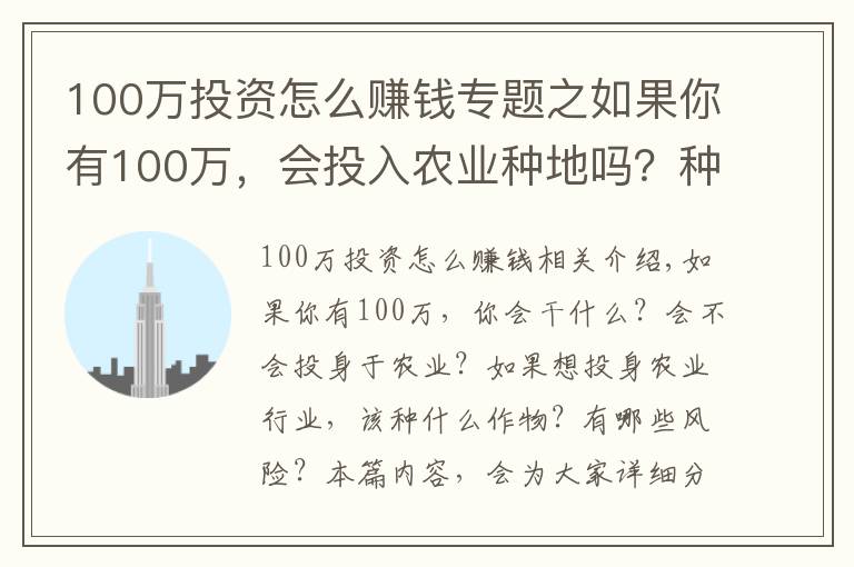 100万投资怎么赚钱专题之如果你有100万，会投入农业种地吗？种小麦和玉米，净利润有多少