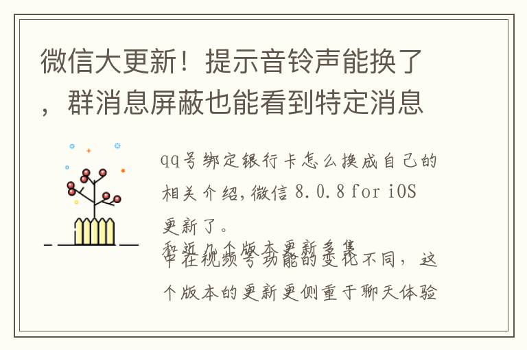 微信大更新！提示音铃声能换了，群消息屏蔽也能看到特定消息文章配图