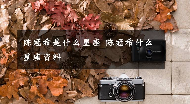 陈冠希是什么星座 陈冠希什么星座资料文章配图