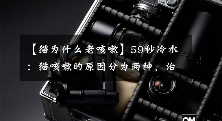 【猫为什么老咳嗽】59秒冷水：猫咳嗽的原因分为两种，治疗方法也不同，所以首先诊断很重要文章配图