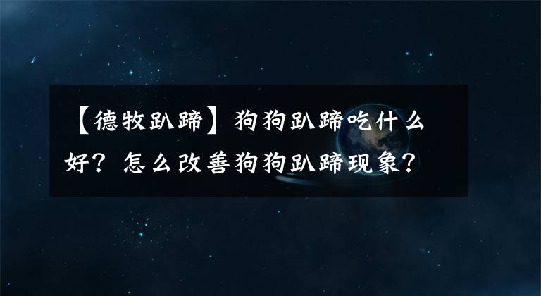 【德牧趴蹄】狗狗趴蹄吃什么好？怎么改善狗狗趴蹄现象？