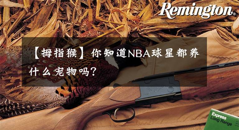 【拇指猴】你知道NBA球星都养什么宠物吗？