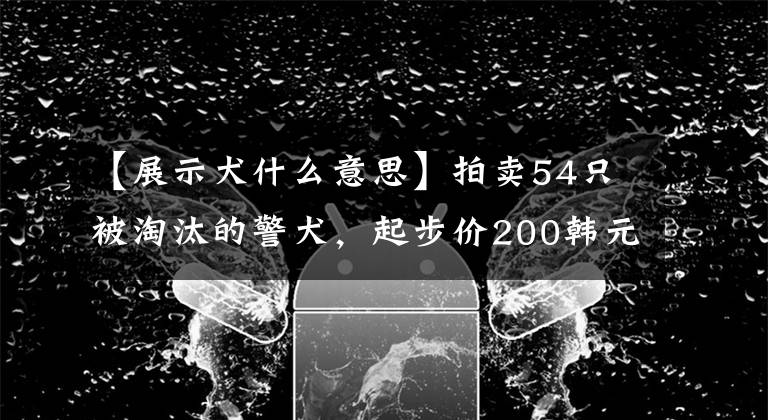 【展示犬什么意思】拍卖54只被淘汰的警犬，起步价200韩元！官方说明：他们胆小，年龄大。文章配图