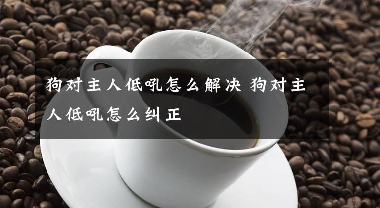 狗对主人低吼怎么解决 狗对主人低吼怎么纠正文章配图