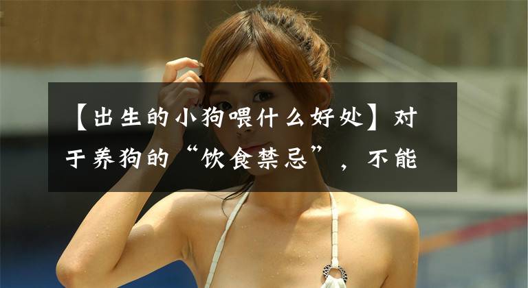 【出生的小狗喂什么好处】对于养狗的“饮食禁忌”，不能犯错误文章配图