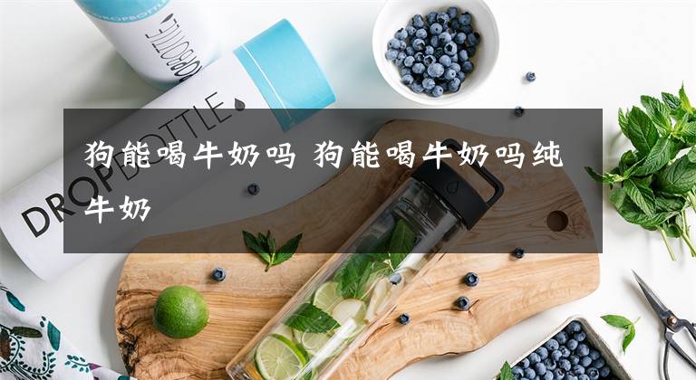 狗能喝牛奶吗 狗能喝牛奶吗纯牛奶文章配图