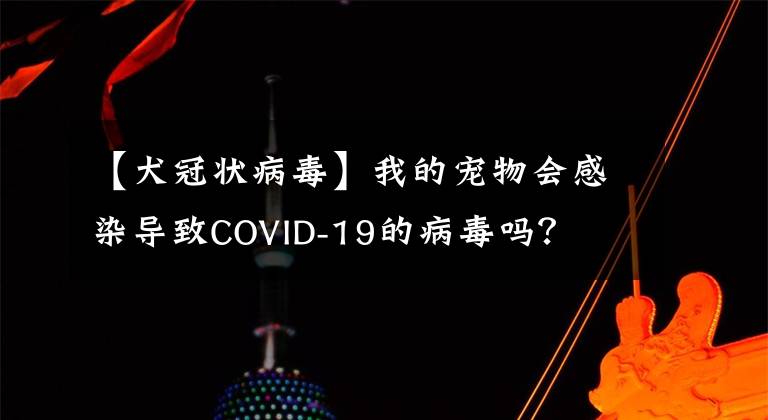 【犬冠状病毒】我的宠物会感染导致COVID-19的病毒吗？