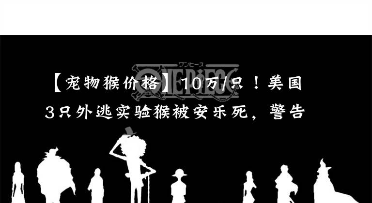 【宠物猴价格】10万/只！美国3只外逃实验猴被安乐死，警告民众不要靠近，咋了？