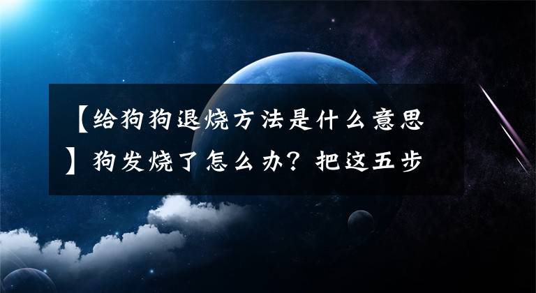 【给狗狗退烧方法是什么意思】狗发烧了怎么办？把这五步做好，狗快点好。文章配图