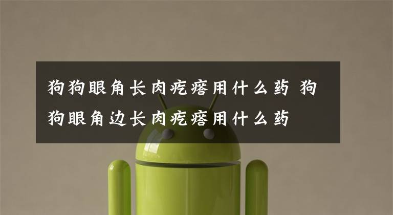 狗狗眼角长肉疙瘩用什么药 狗狗眼角边长肉疙瘩用什么药文章配图