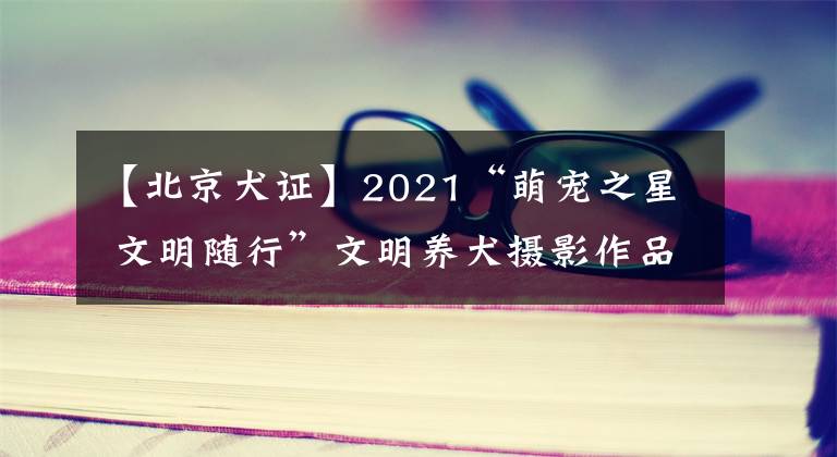 【北京犬证】2021“萌宠之星 文明随行”文明养犬摄影作品有奖征集活动开始啦