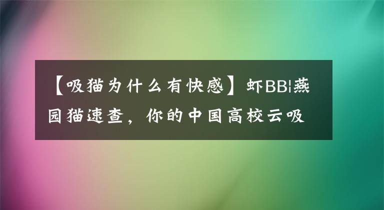 【吸猫为什么有快感】虾BB|燕园猫速查，你的中国高校云吸猫手册