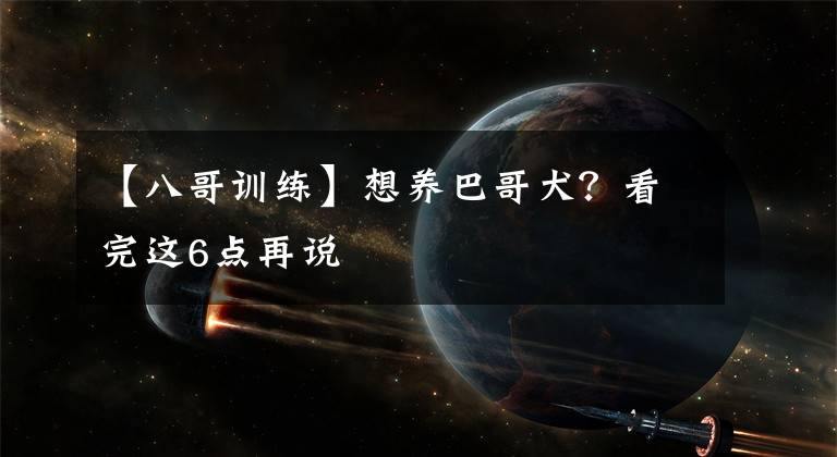 【八哥训练】想养巴哥犬？看完这6点再说