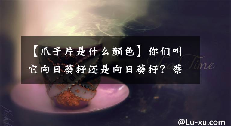 【爪子片是什么颜色】你们叫它向日葵籽还是向日葵籽？蔡妍向日葵籽示范讲解教程！文章配图