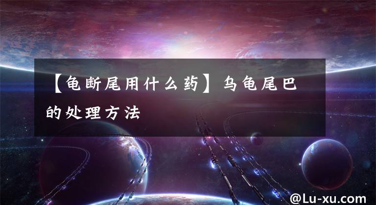 【龟断尾用什么药】乌龟尾巴的处理方法