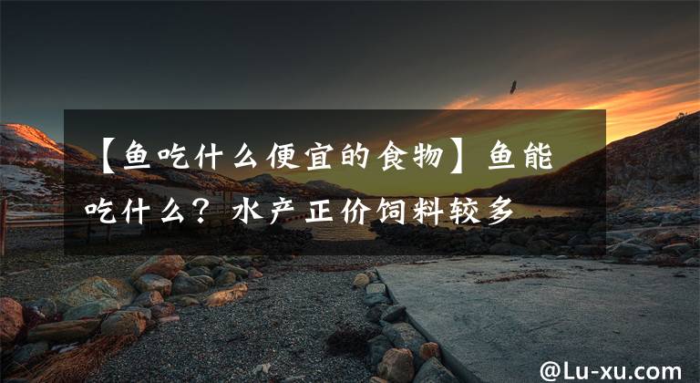 【鱼吃什么便宜的食物】鱼能吃什么？水产正价饲料较多文章配图
