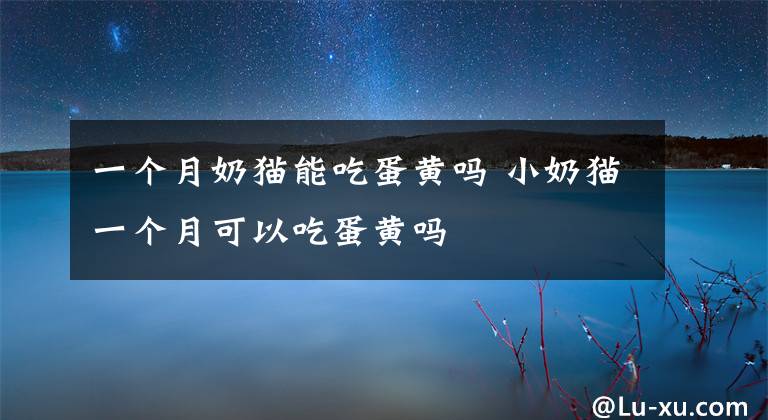一个月奶猫能吃蛋黄吗 小奶猫一个月可以吃蛋黄吗文章配图