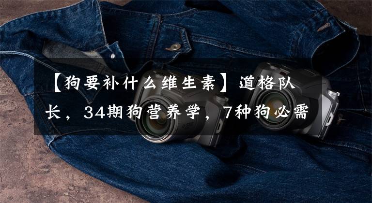 【狗要补什么维生素】道格队长，34期狗营养学，7种狗必需维生素。文章配图