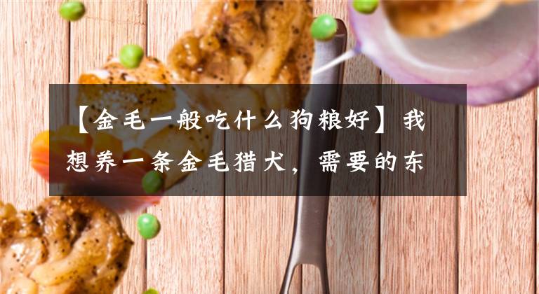 【金毛一般吃什么狗粮好】我想养一条金毛猎犬，需要的东西都准备好了吗？文章配图