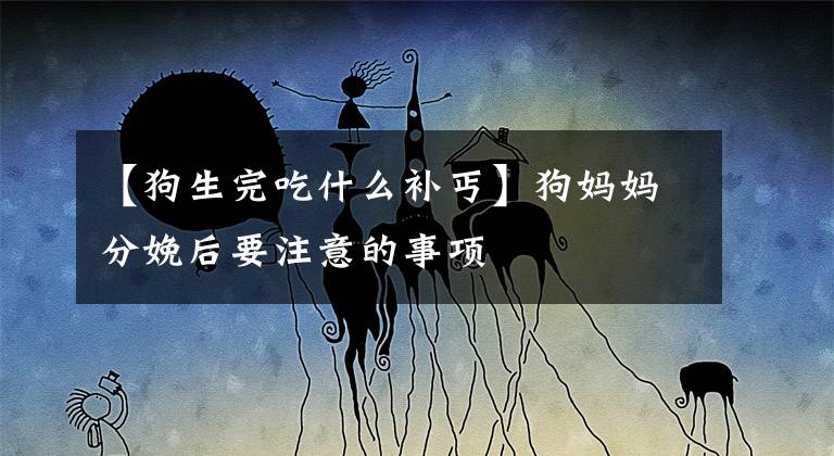 【狗生完吃什么补丐】狗妈妈分娩后要注意的事项文章配图