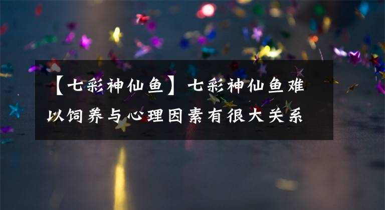 【七彩神仙鱼】七彩神仙鱼难以饲养与心理因素有很大关系，即使是黑体也不例外