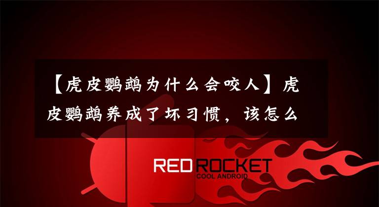 【虎皮鹦鹉为什么会咬人】虎皮鹦鹉养成了坏习惯，该怎么办？文章配图