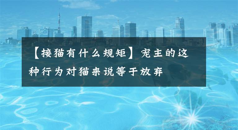 【接猫有什么规矩】宠主的这种行为对猫来说等于放弃文章配图