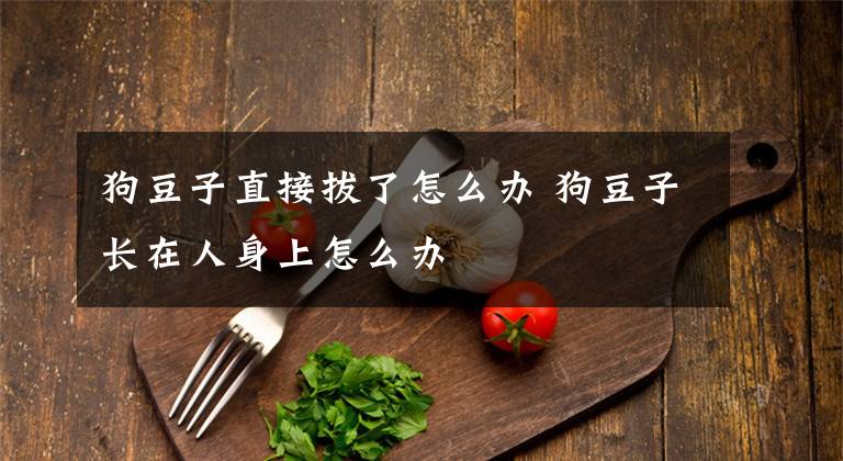 狗豆子直接拔了怎么办 狗豆子长在人身上怎么办文章配图