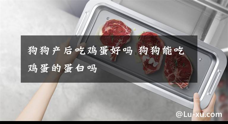 狗狗产后吃鸡蛋好吗 狗狗能吃鸡蛋的蛋白吗文章配图