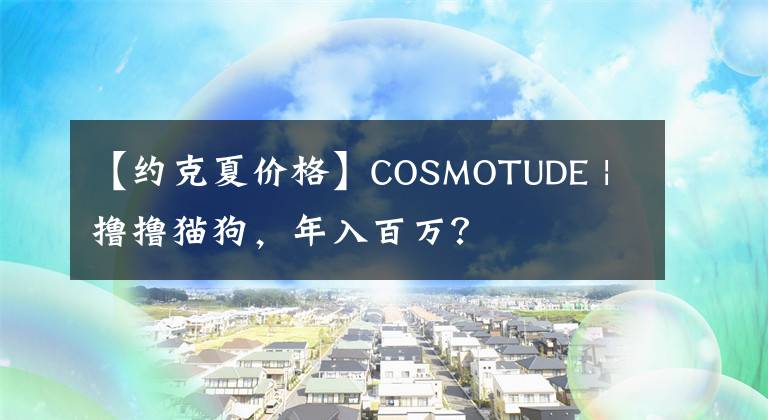 【约克夏价格】COSMOTUDE | 撸撸猫狗，年入百万？