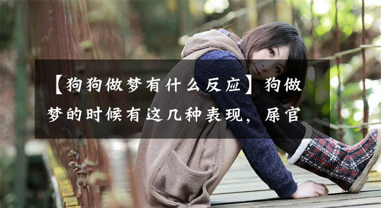 【狗狗做梦有什么反应】狗做梦的时候有这几种表现，屎官不能乱摸只在做梦的王成仁。(莎士比亚)。文章配图