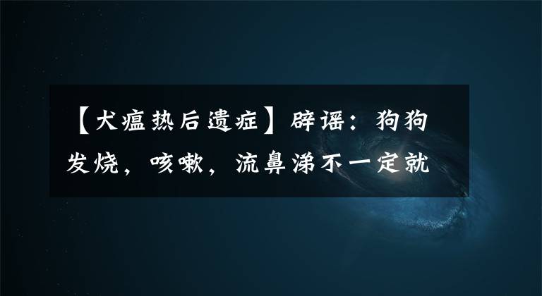 【犬瘟热后遗症】辟谣：狗狗发烧，咳嗽，流鼻涕不一定就是感冒，还有可能是犬瘟热