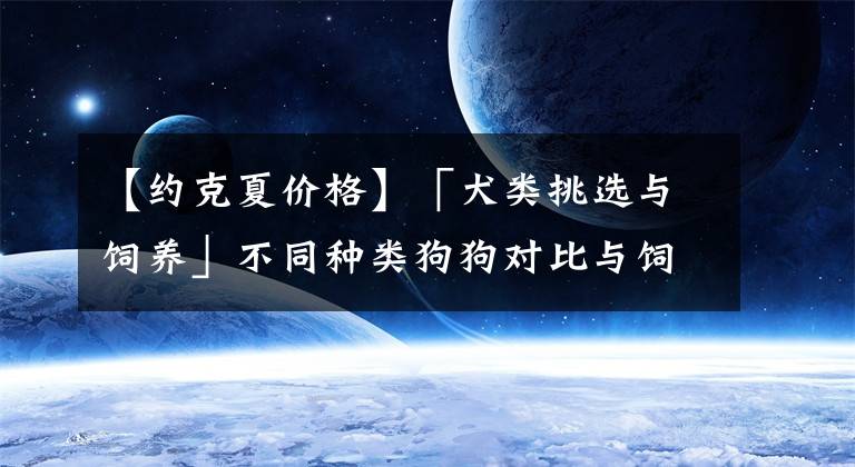 【约克夏价格】「犬类挑选与饲养」不同种类狗狗对比与饲养指南 狗狗种类对比汇总