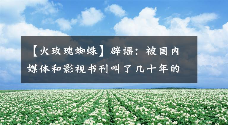 【火玫瑰蜘蛛】辟谣：被国内媒体和影视书刊叫了几十年的狼蛛，其实大都是捕鸟蛛文章配图
