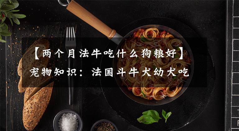 【两个月法牛吃什么狗粮好】宠物知识：法国斗牛犬幼犬吃的东西，怎么长得快文章配图